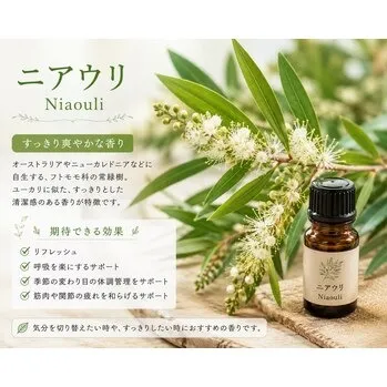 新登場！ニアウリのエッセンシャルオイル♪